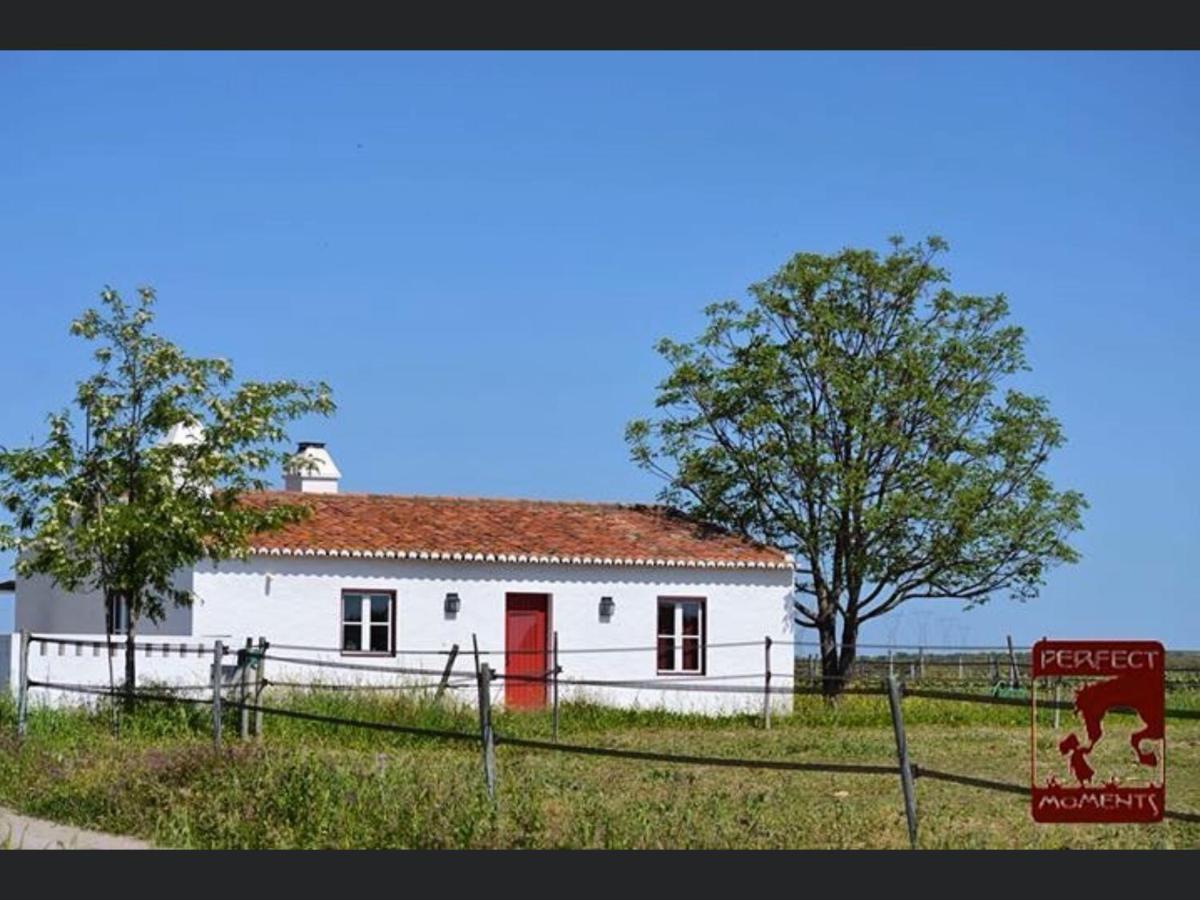 Monte Da Boavista - Country Family House Villa Alter do Chao Ngoại thất bức ảnh